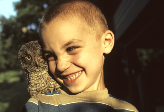 7 year old boy with 2-week-old screech owl (Otus asio)